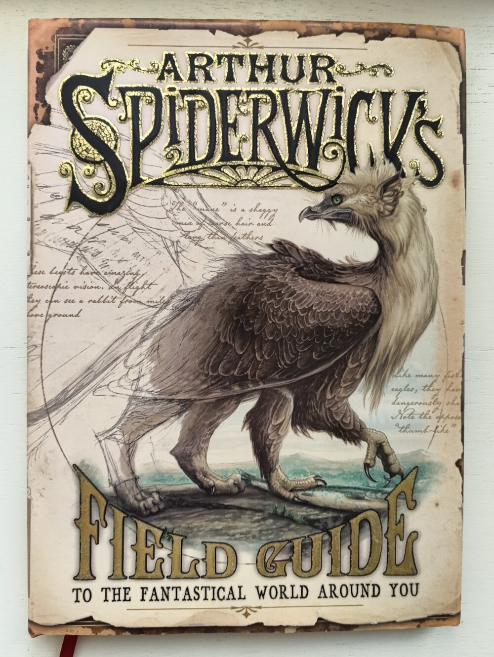 Signed Arthur Spiderwick's Field Guide Holly Black & Tony DiTerlizzi (Hardcover)
